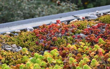 the cost of Homerton green roof installation