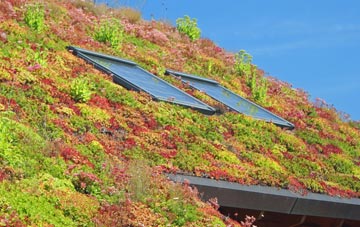 Homerton living roof systems