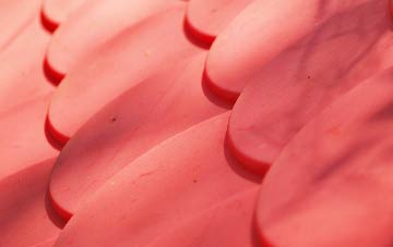 Homerton plastic roof costs