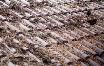 Homerton roof cleaning companies