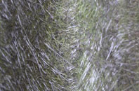 Homerton fibreglass roof work